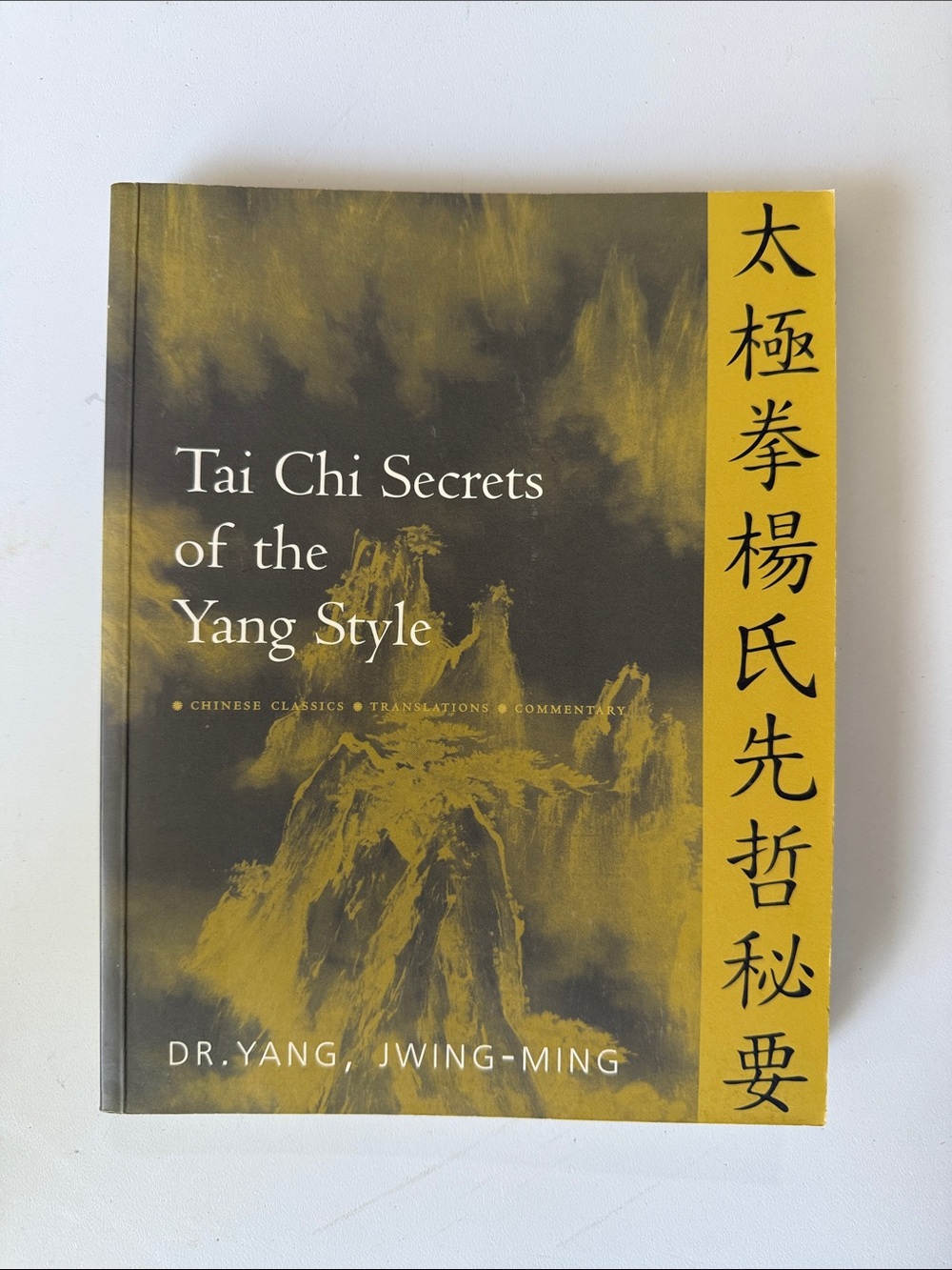 Tai Chi Secrets of the Yang Style - Yellow & Black Cover